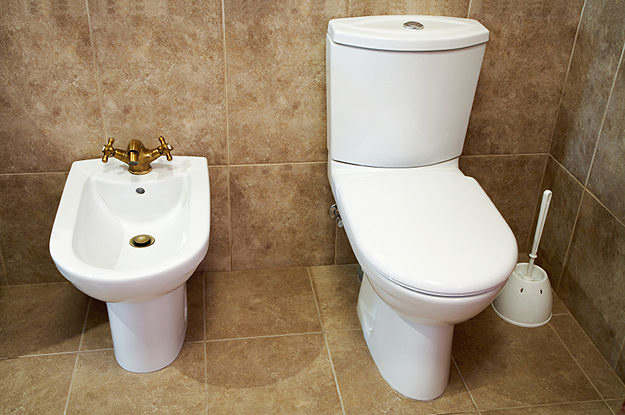 Non-electronic Bidet and Toilet in a fancy bathroom - how do you use this thing?