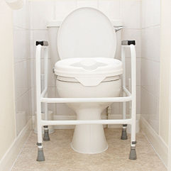 Arm Rests to Assist Standing Up From a Toilet, with a Plastic Seat Riser that won't work with an electronic bidet