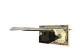 Every time you dial 411, it's money out the window!