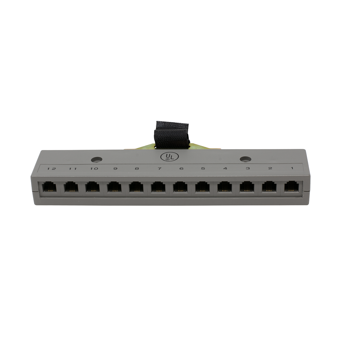 12 Port 2 Pair Harmonica with Male Amp Connector (Front View)