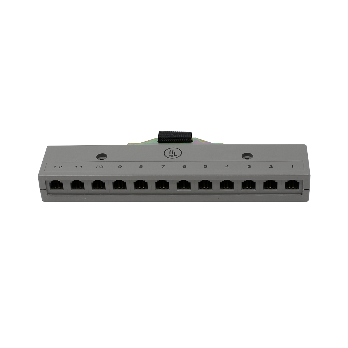 12 Port 2 Pair Harmonica with Female Amp Connector (Front View)