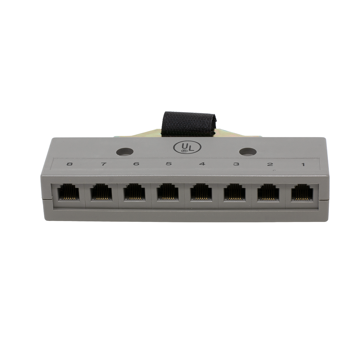 8 Port 3 Pair Harmonica with Female Amp Connector (Front View)
