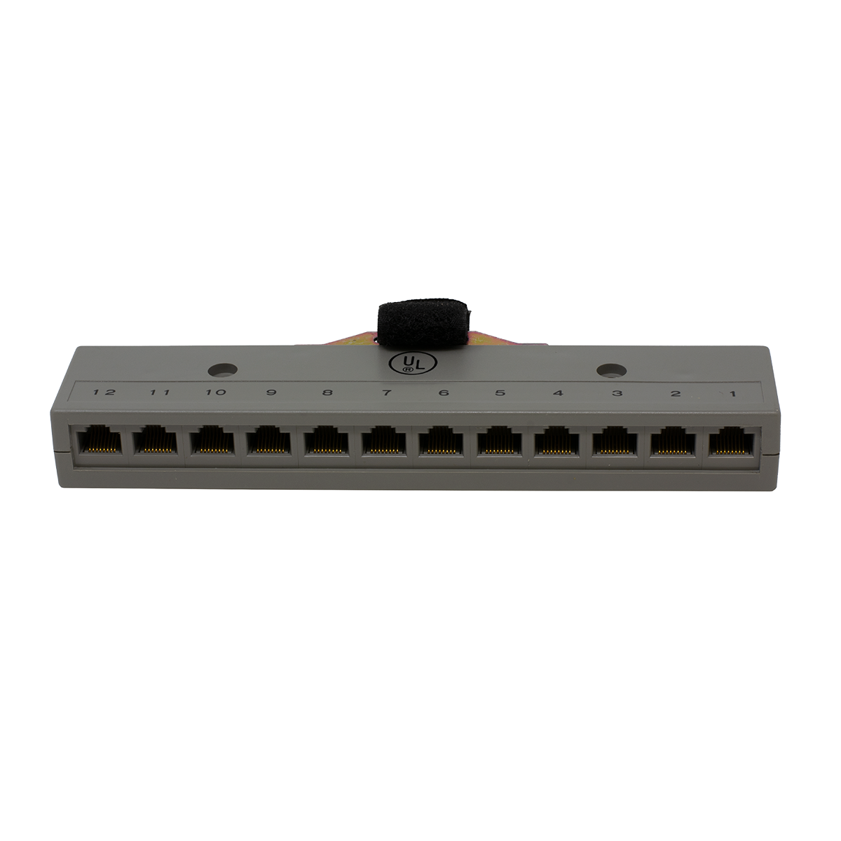 12 Port 2 Pair RJ-45 Harmonica with Male Amp Connector (Front View)