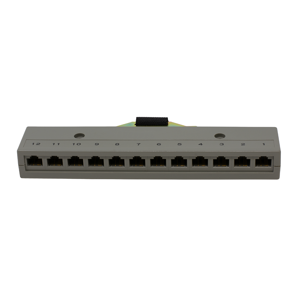 12 Port 2 Pair RJ-45 Harmonica with Female Amp Connector (Front View)